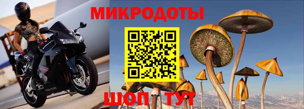 Галлюциногенные грибы Cubensis Рубцовск
